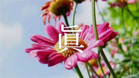 橙名字|「橙」を使った名前、意味、画数、読み方や名付けの。